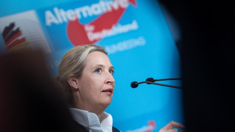 Französische Rechtnationale AfD Vorsitzende Weidel Differenzen bei