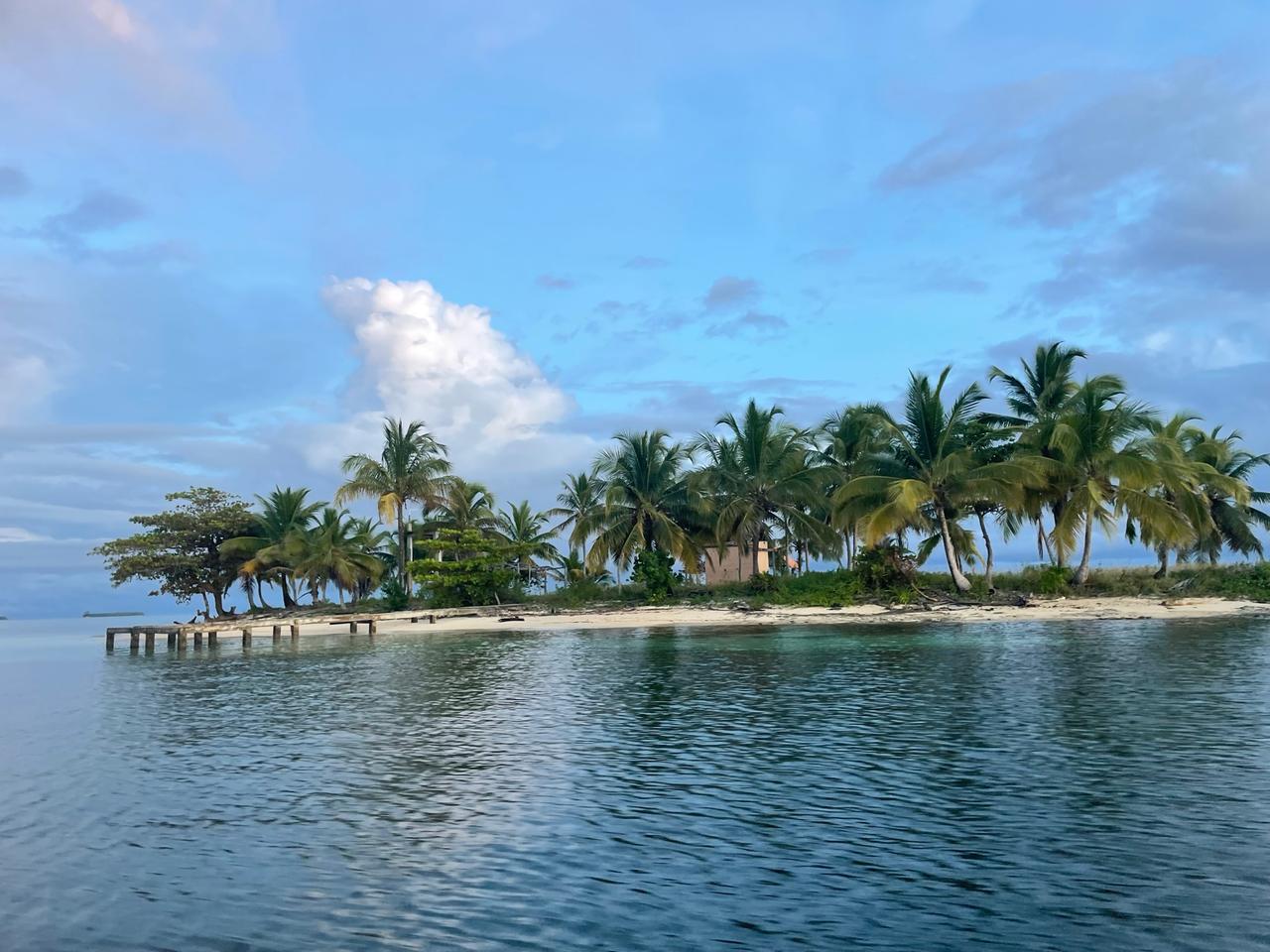 Kleine flache Insel mit vielen Palmen unter blauem Himmel.