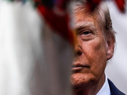 Porträt von Donald Trump. Die Hälfte seines Gesichts ist durch eine Flagge überdeckt. Porträt von Donald Trump. Die Hälfte seines Gesichts ist durch eine Flagge überdeckt.