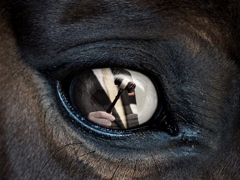 In der Nahaufnahme eines Pferdeauges spiegelt sich das Bild eines Auktionshammers, der von einem Mann in schwarzem Anzug gehalten wird. In der Nahaufnahme eines Pferdeauges spiegelt sich das Bild eines Auktionshammers, der von einem Mann in schwarzem Anzug gehalten wird.