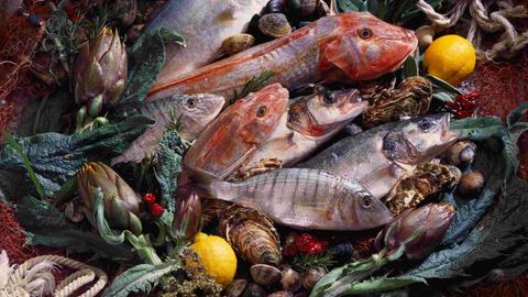 Ein Stillleben, drapiert auf einem Tisch: Fische, Artischocken, Muscheln und Zitronen.