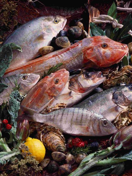 Ein Stillleben, drapiert auf einem Tisch: Fische, Artischocken, Muscheln und Zitronen.