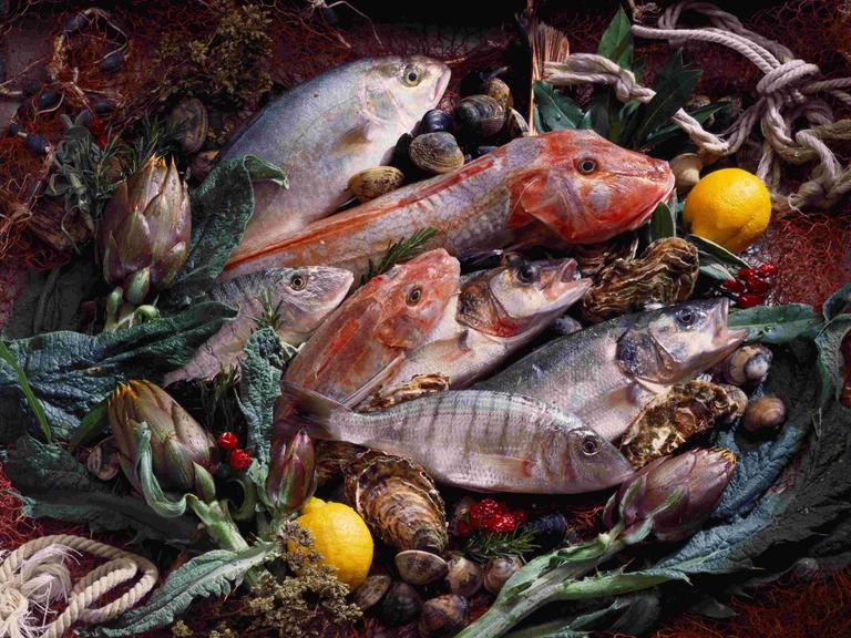 Ein Stillleben, drapiert auf einem Tisch: Fische, Artischocken, Muscheln und Zitronen. Ein Stillleben, drapiert auf einem Tisch: Fische, Artischocken, Muscheln und Zitronen.