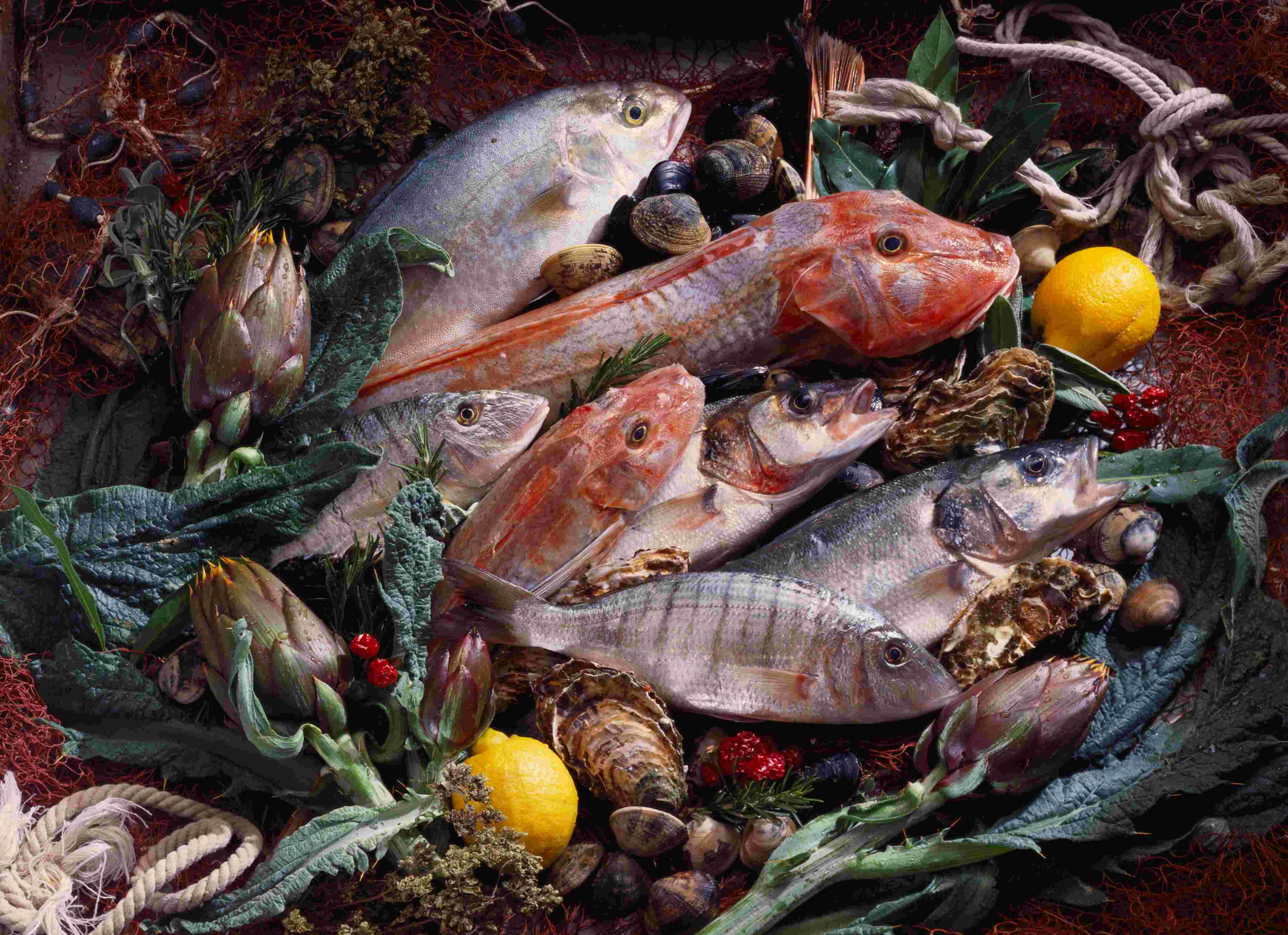 Ein Stillleben, drapiert auf einem Tisch: Fische, Artischocken, Muscheln und Zitronen.