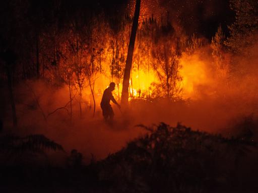 Ein Feuerwehrmann bekämpft einen Waldbrand in der Nacht. Hinter ihm lodert das Feuer.