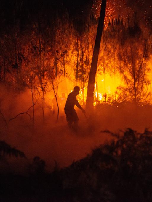 Ein Feuerwehrmann bekämpft einen Waldbrand in der Nacht. Hinter ihm lodert das Feuer.