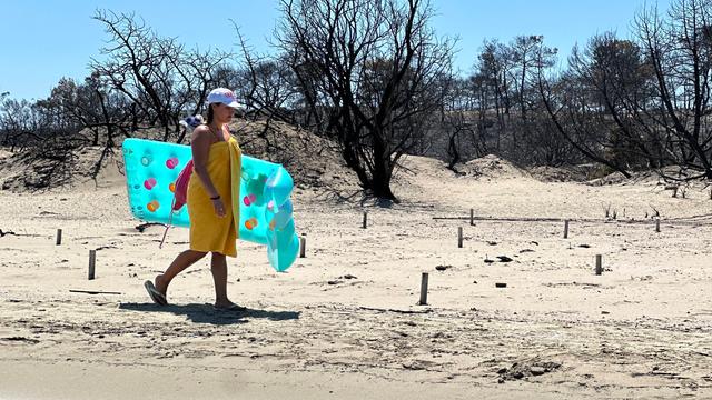 Eine Person läuft an einem hellen Sandstrand entlang und trägt eine türkisfarbene Luftmatratze. Direkt hinter dem Strand stehen viele schwarze, verbrannte Bäume ohne Blätter.