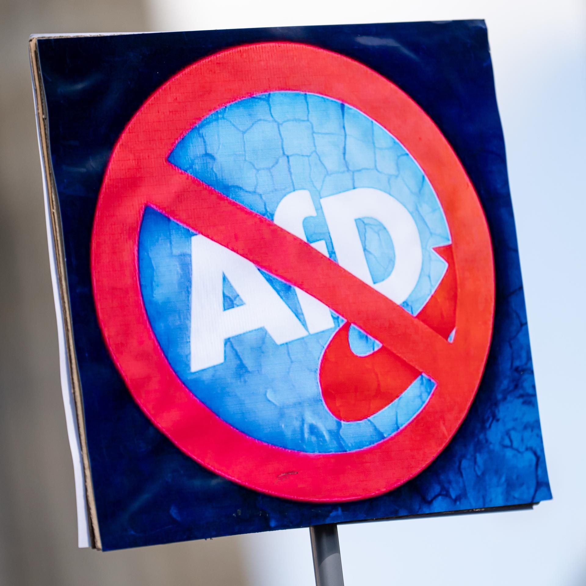 Kommentar zur AfD - Zeit für eine demokratische Mobilmachung Kommentar zur AfD - Zeit für eine demokratische Mobilmachung