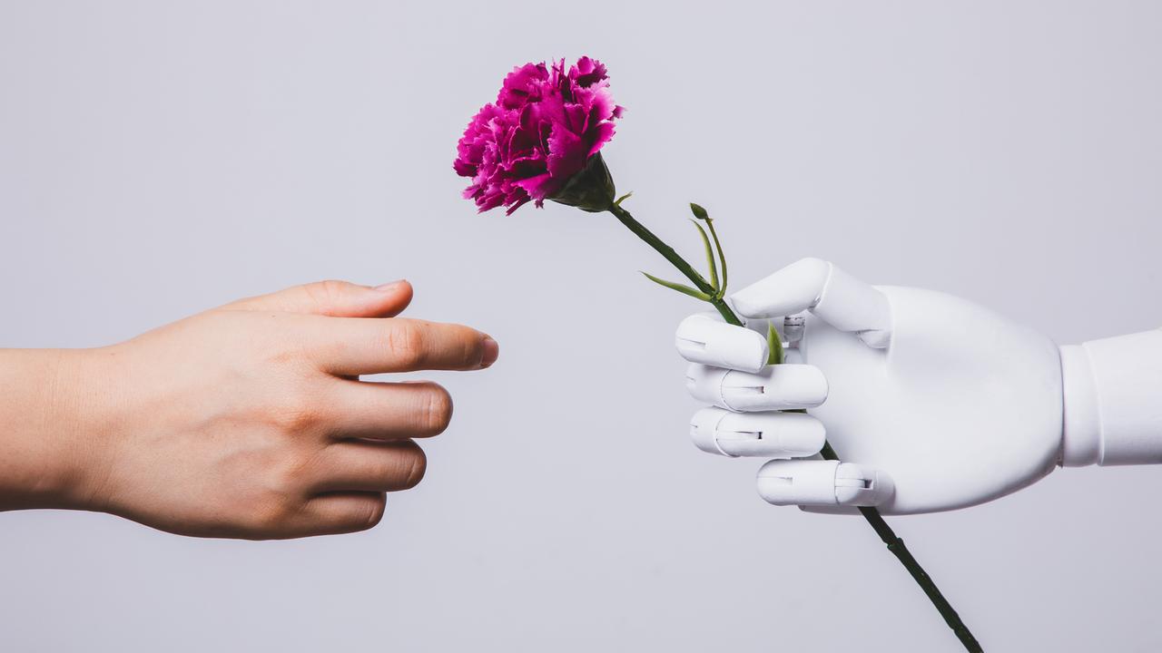 Eine Roboterhand reicht einer menschlichen Hand eine pinke Nelke. Eine Roboterhand reicht einer menschlichen Hand eine pinke Nelke.