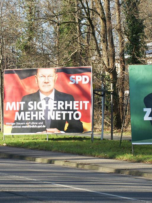 Die Wahlplakate der ehemaligen Ampelparteien stehen am Straßenrand