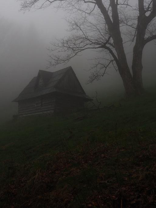 In einer dunklen nebligen Landschaft steht zwischen Bäumen ein einsames Haus