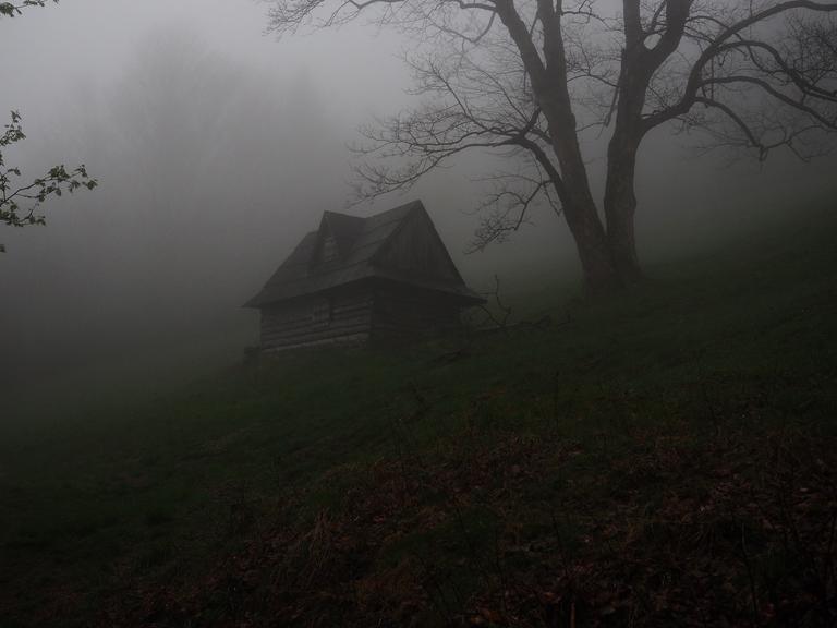 In einer dunklen nebligen Landschaft steht zwischen Bäumen ein einsames Haus