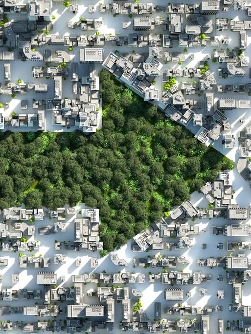 Ein grüner Park mit Bäumen in Pfeilform in einer Stadt von morgen.