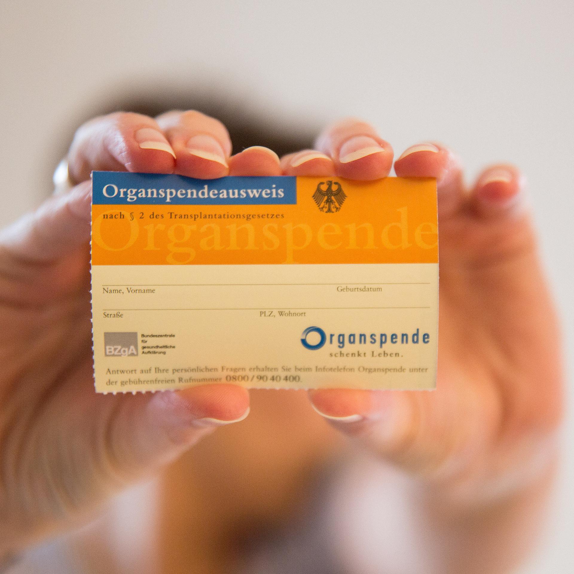 Eine Person hält einen Organspendeausweis in den Händen. 