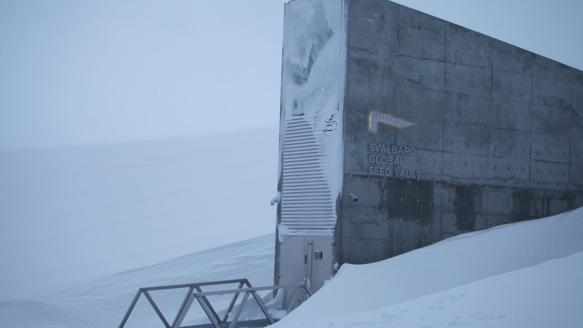 Der Eingang zum globalen Saatguttresor auf Spitzbergen ragt in der Nähe des Polarstädtchens Longyearbyen aus der verschneiten Berglandschaft empor. Der Eingang zum globalen Saatguttresor auf Spitzbergen ragt in der Nähe des Polarstädtchens Longyearbyen aus der verschneiten Berglandschaft empor.