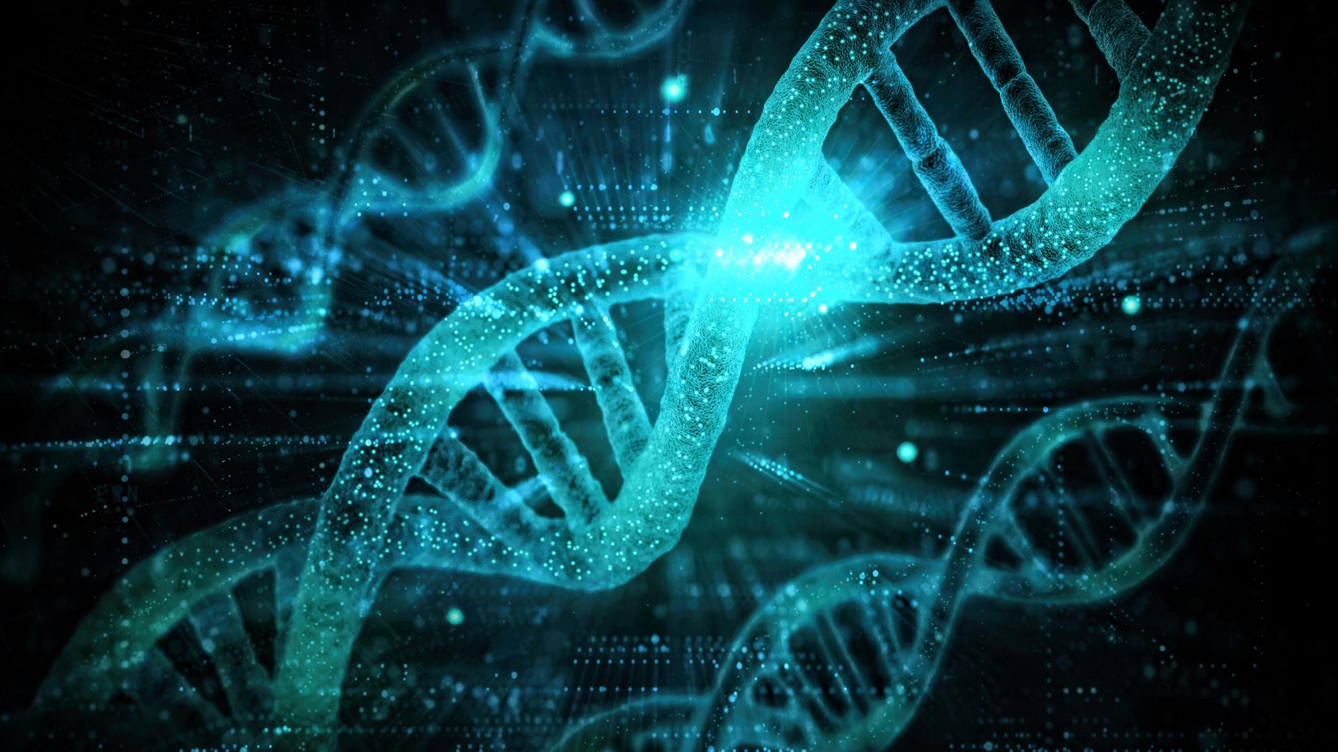 Ein blau gefärbter DNA-Strang.