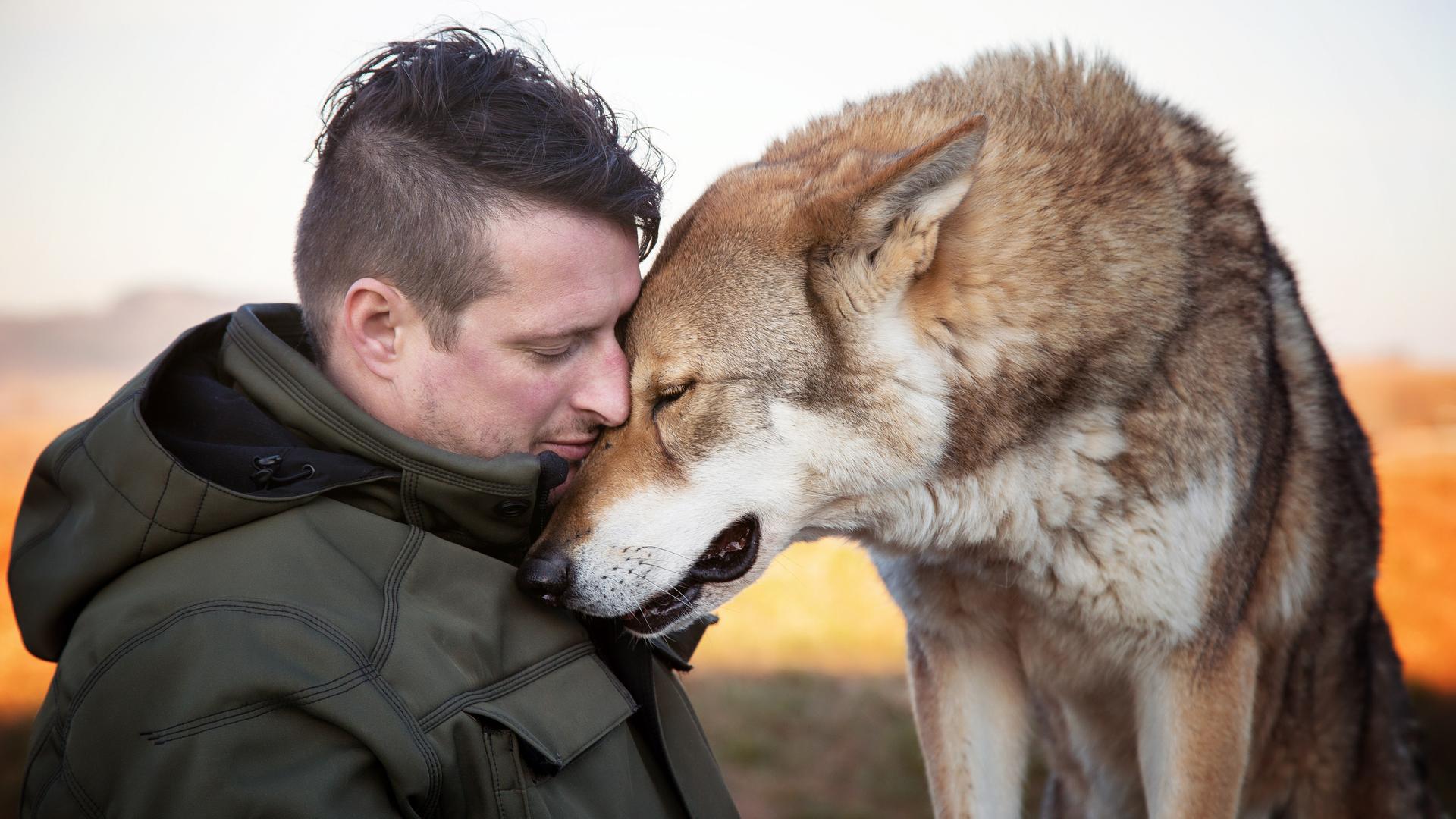 Profilbild von Gerd Schuster und einem großen Hund, die ihre Köpfe aneinanderschmiegen.