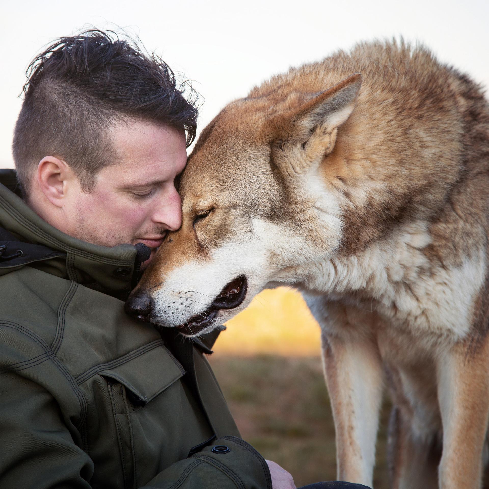 Profilbild von Gerd Schuster und einem großen Hund, die ihre Köpfe aneinanderschmiegen.