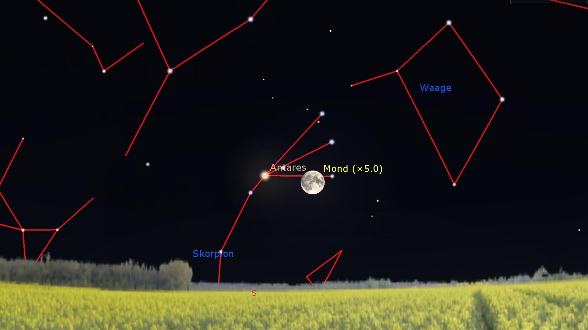 Auf einer Illustration sind auf dem schwarzen Nachthimmel der Vollmond und daneben der Stern Antares im Skorpion eingezeichnet. Auf einer Illustration sind auf dem schwarzen Nachthimmel der Vollmond und daneben der Stern Antares im Skorpion eingezeichnet.