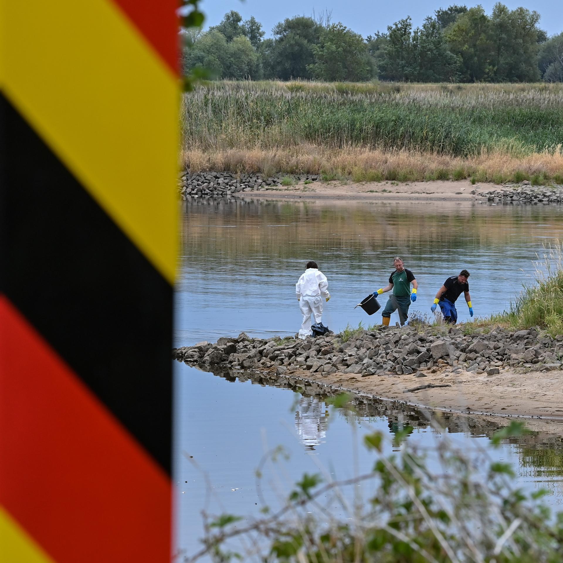 Hinter einem Grenzpfeiler am deutsch-polnischen Grenzfluss Oder bergen freiwillige Helfer tote Fische aus dem Wasser. 