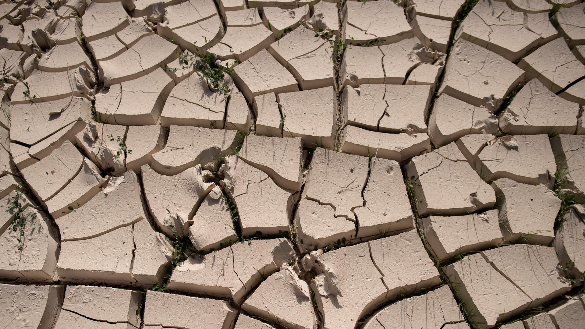 Das Bild zeigt ein ausgetrocknetes Flussbett in Spanien.