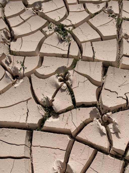 Das Bild zeigt ein ausgetrocknetes Flussbett in Spanien.