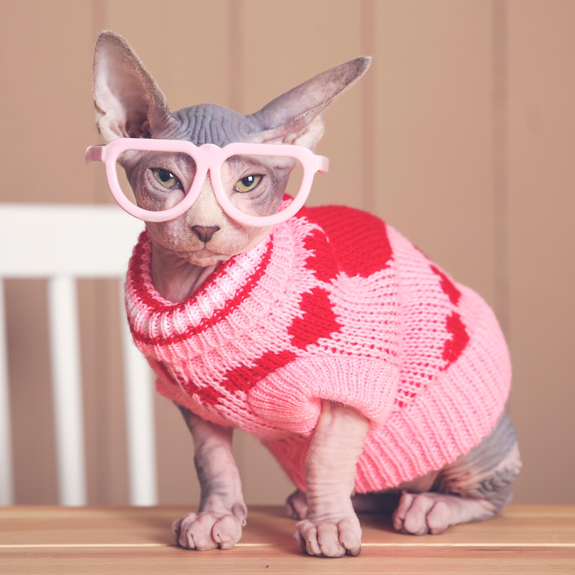 Mode oder Verzweiflung - Kleider machen Leute - aber was machen Leute mit Kleidern?