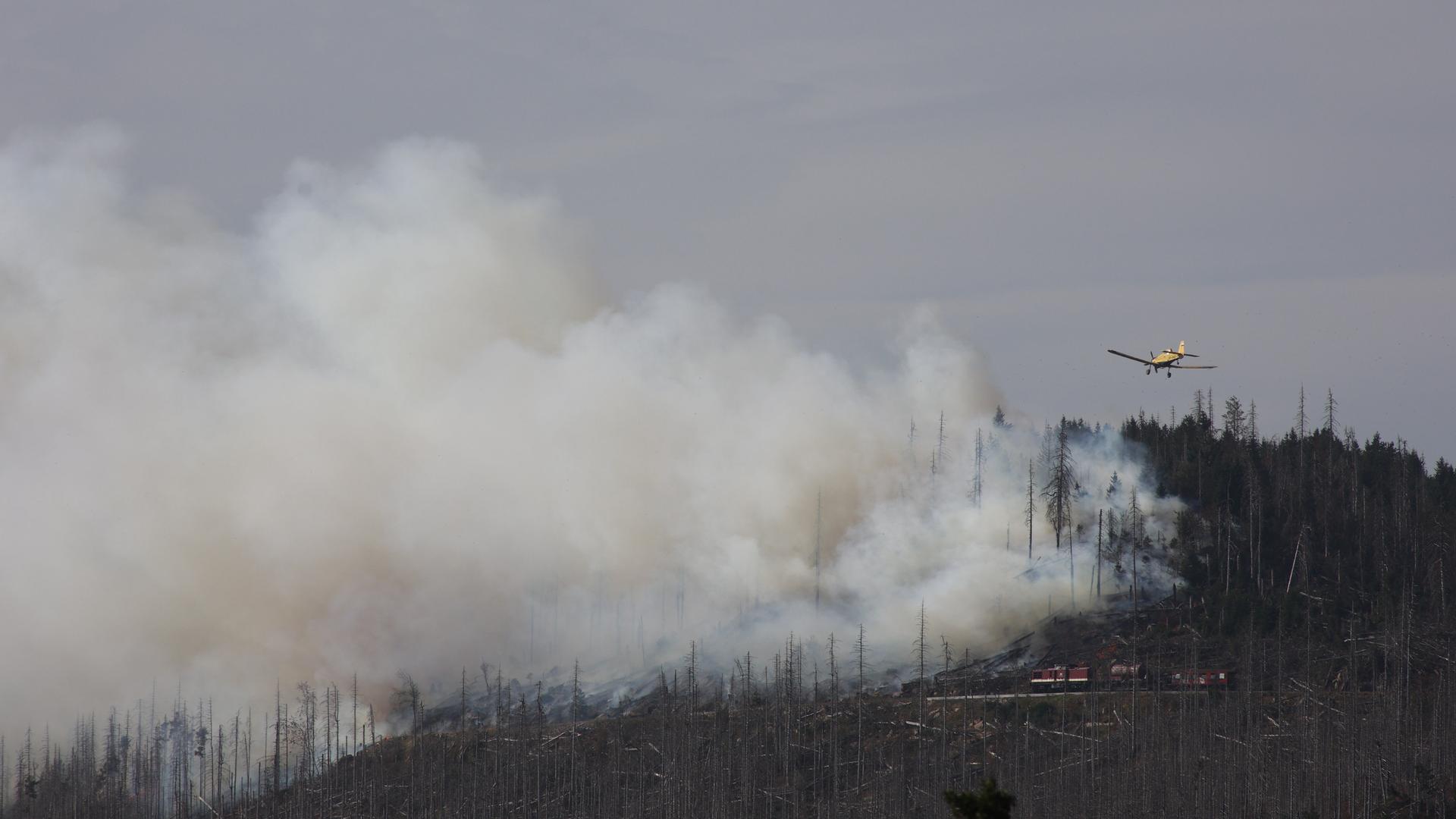 Waldbrand am Königsberg unterhalb des Brockens im Harz