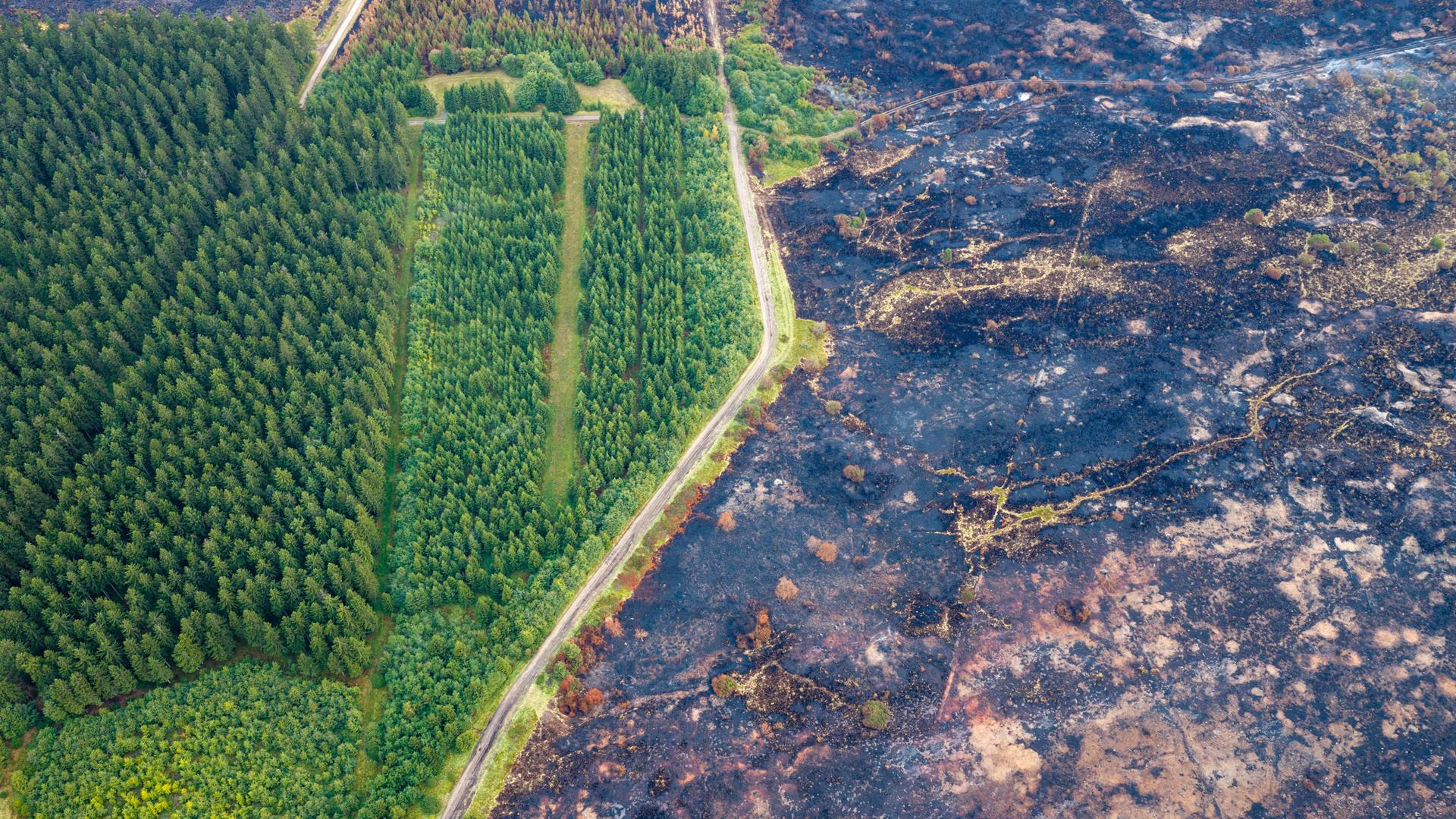 Sourbrodt: Eine kleine Straße trennt die verbrannte Fläche im belgischen Naturschutzgebiet Hohes Venn von grüner Vegetation, die den Waldbrand unbeschadet überstanden hat. (Luftaufnahme mit einer Drohne) Sourbrodt: Eine kleine Straße trennt die verbrannte Fläche im belgischen Naturschutzgebiet Hohes Venn von grüner Vegetation, die den Waldbrand unbeschadet überstanden hat. (Luftaufnahme mit einer Drohne)