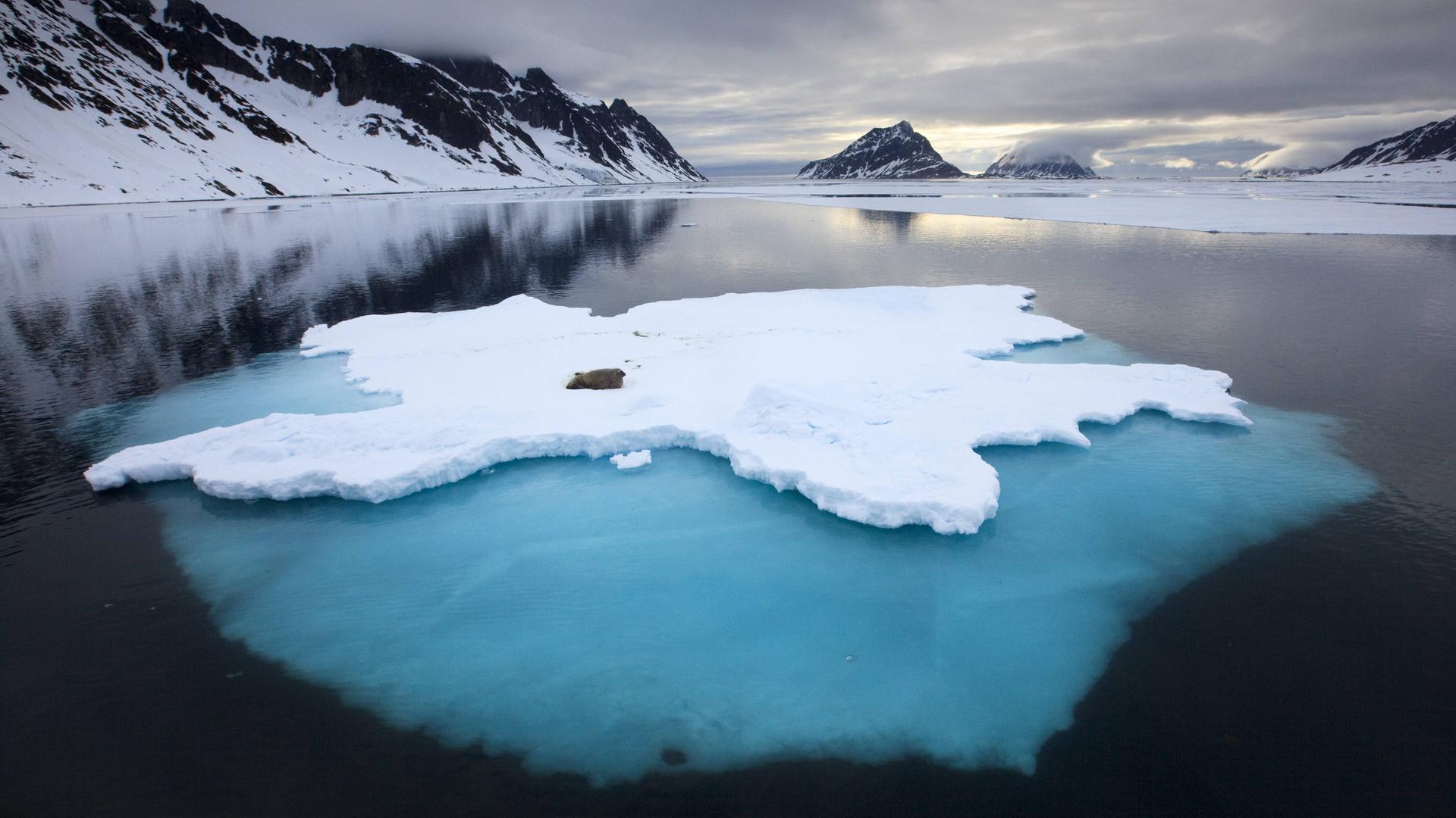 Arktische Küste in Spitzbergen, Norwegen Arktische Küste in Spitzbergen, Norwegen