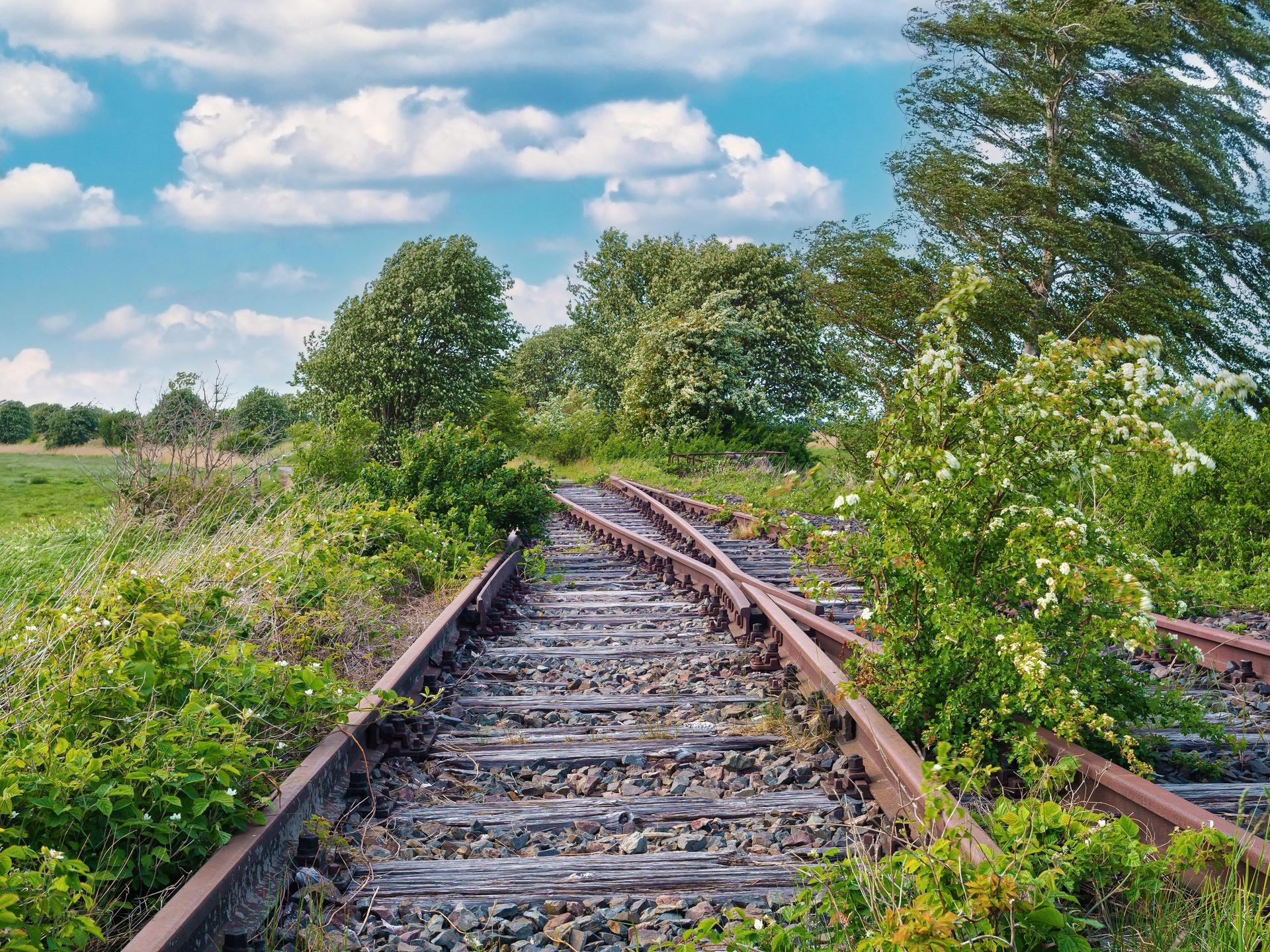 Gleise auf der ehemaligen Bahnstrecke nach Fischland-Darß, Bresewitz, Mecklenburg-Vorpommern, die wiederbelebt werden soll