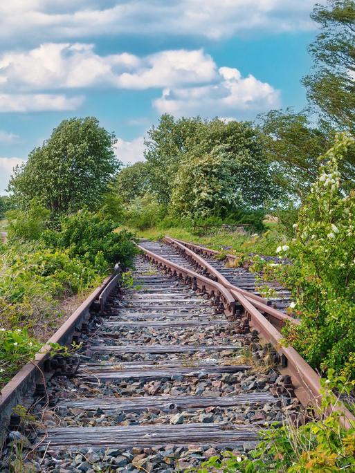 Gleise auf der ehemaligen Bahnstrecke nach Fischland-Darß, Bresewitz, Mecklenburg-Vorpommern, die wiederbelebt werden soll