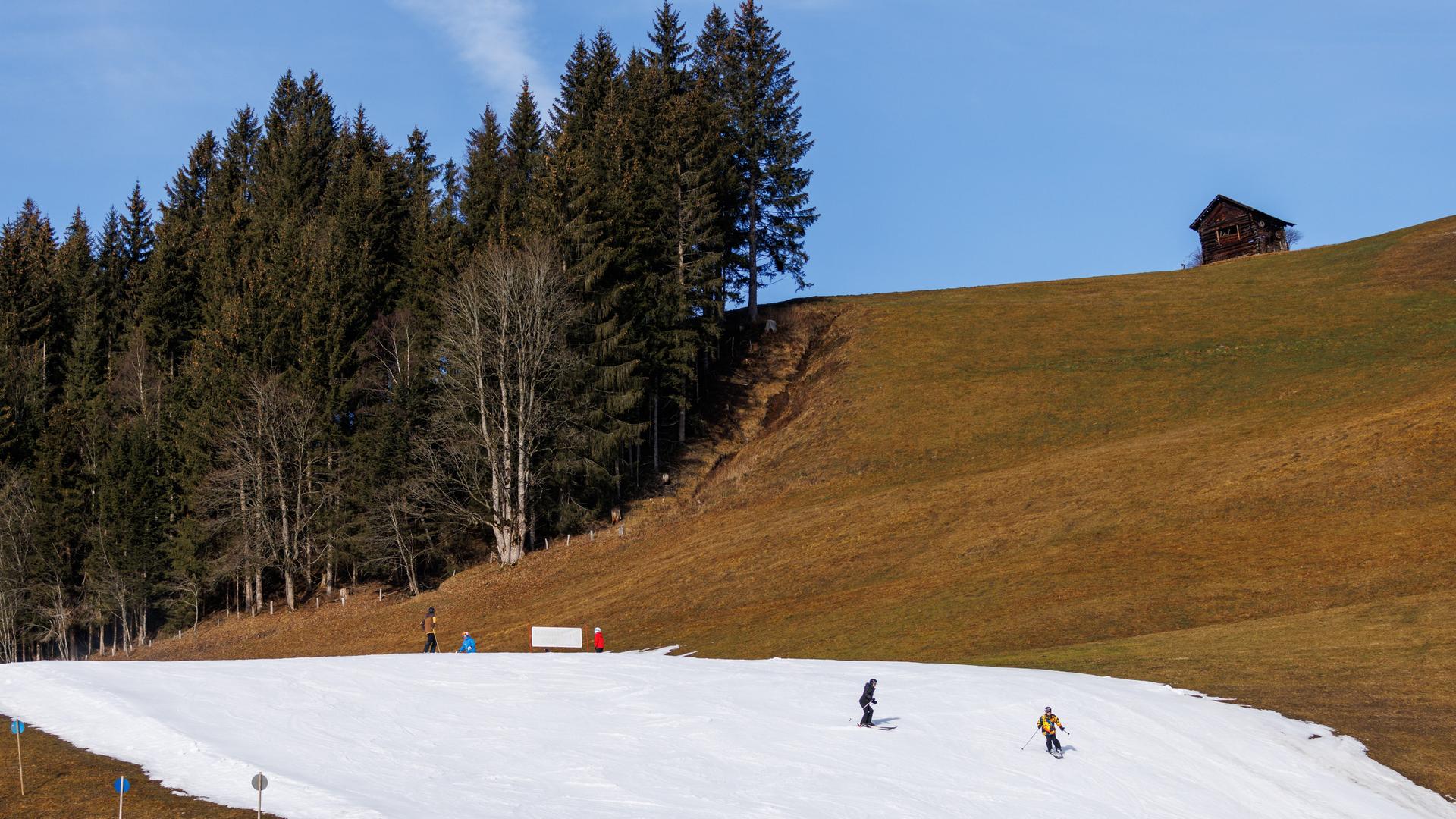 Skifahrer fahren über eine präparierte Skipiste. Drumherum ist alles schneefrei. 