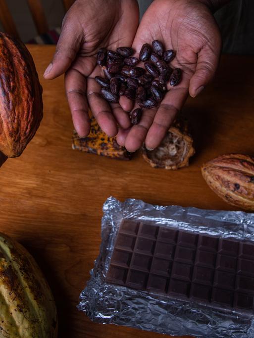 Zwei Hände halten die verschiedenen Verarbeitungsstufen von der Kakao-Frucht bis hin zur fertigen Schokolade in die Kamera.