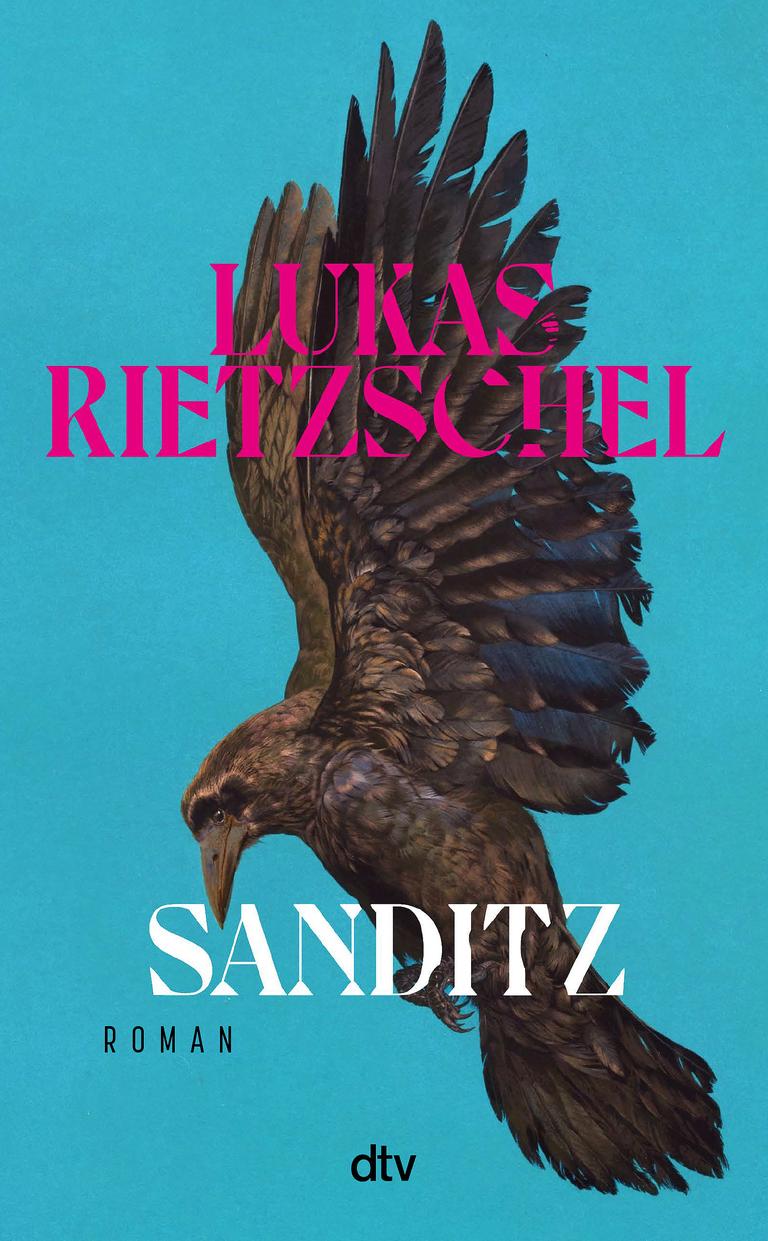 Cover des Buchs "Sandnitz" von Lukas Rietzschel