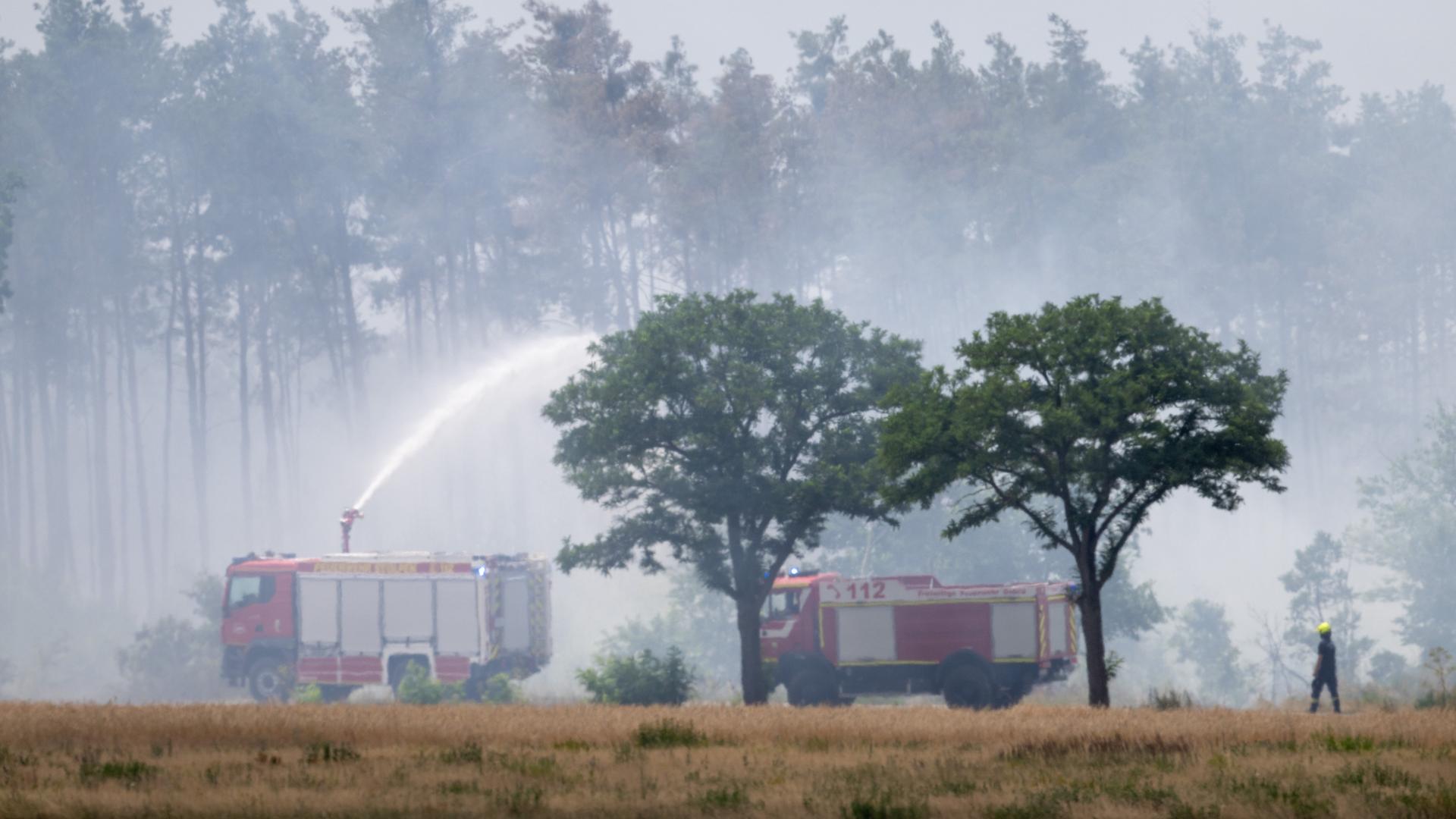 Löschfahrzeuge der Feuerwehr stehen vor einem Wald, aus dem Rauchschwaden aufsteigen.