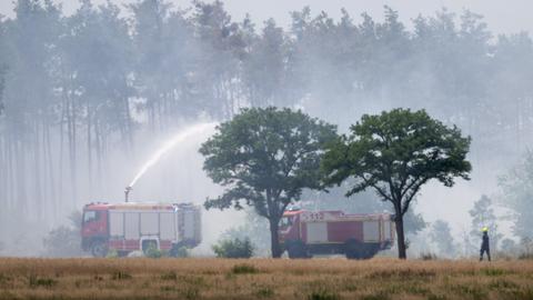 Löschfahrzeuge der Feuerwehr stehen vor einem Wald, aus dem Rauchschwaden aufsteigen.