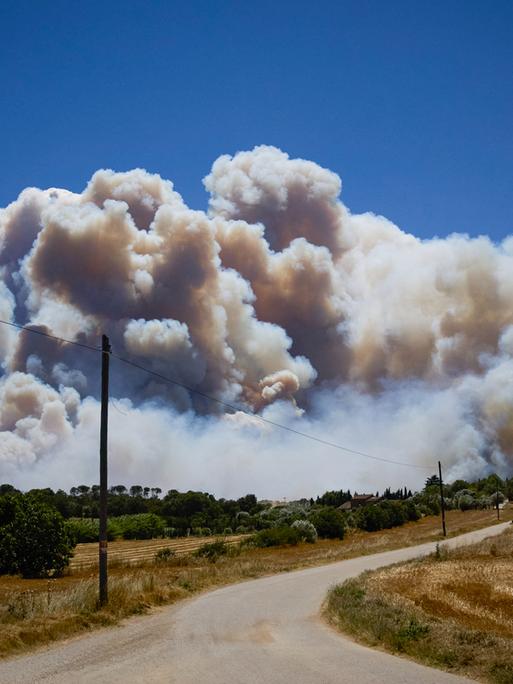 Über einer ausgetrockneten Landschaft ragt in der Ferne der Rauch eines großen Feuers auf.