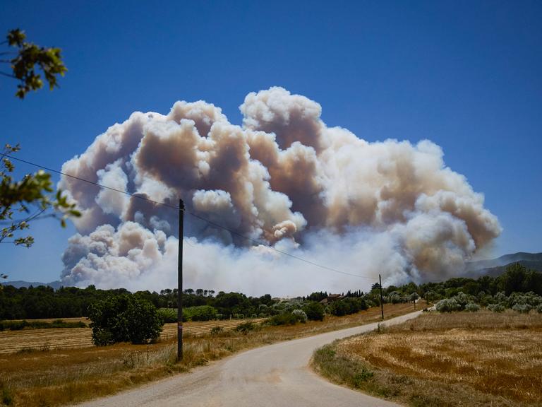 Über einer ausgetrockneten Landschaft ragt in der Ferne der Rauch eines großen Feuers auf.
