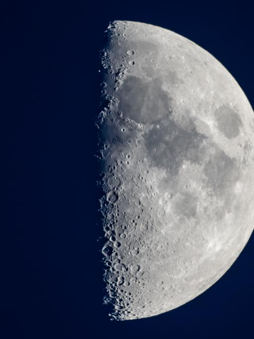 Der zunehmende und rund zur Hälfte sichtbare Mond ist am frühen Abendhimmel über Brandenburg zu sehen. Am 25.01.2024 ist der nächste Vollmond.