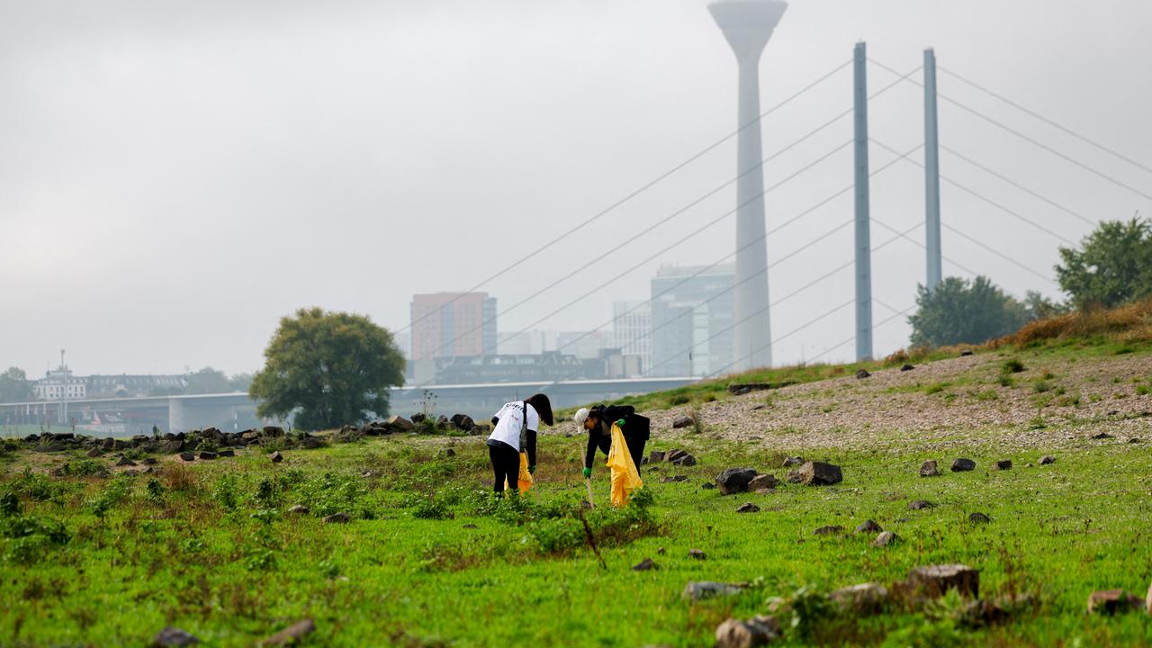 Freiwillige Helfer räumen das Ufer am Rhein in Oberkassel auf. 