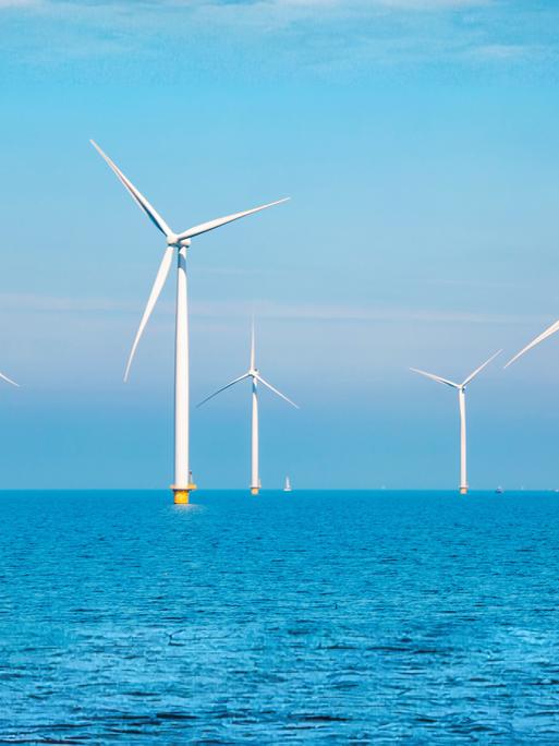 Windräder auf dem Meer in den Niederlanden.