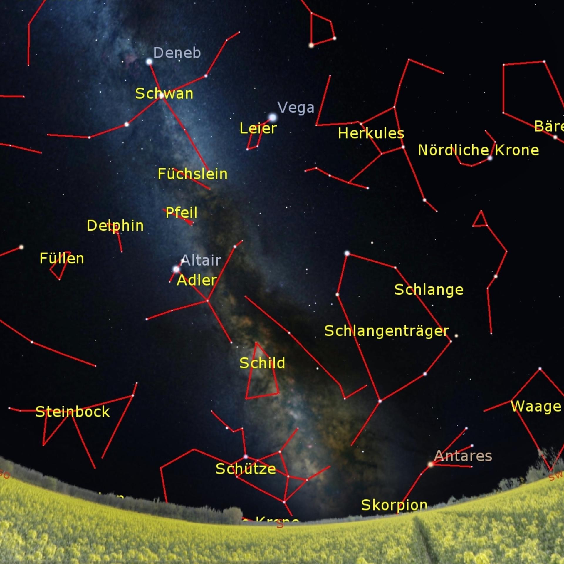 Kurze Nächte mit Venus - Der Sternenhimmel im Juli