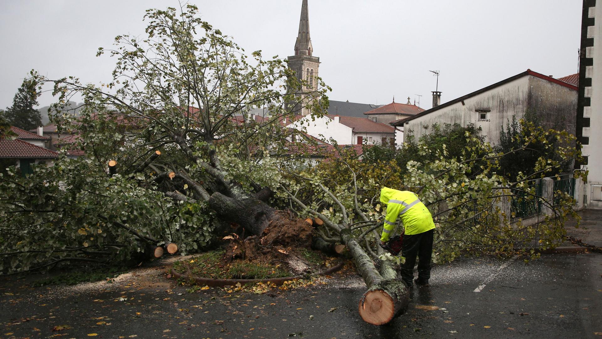 Frankreich, Hasparren: Ein Mann zersägt einen Baum, der auf einen Parkplatz gestürzt ist.