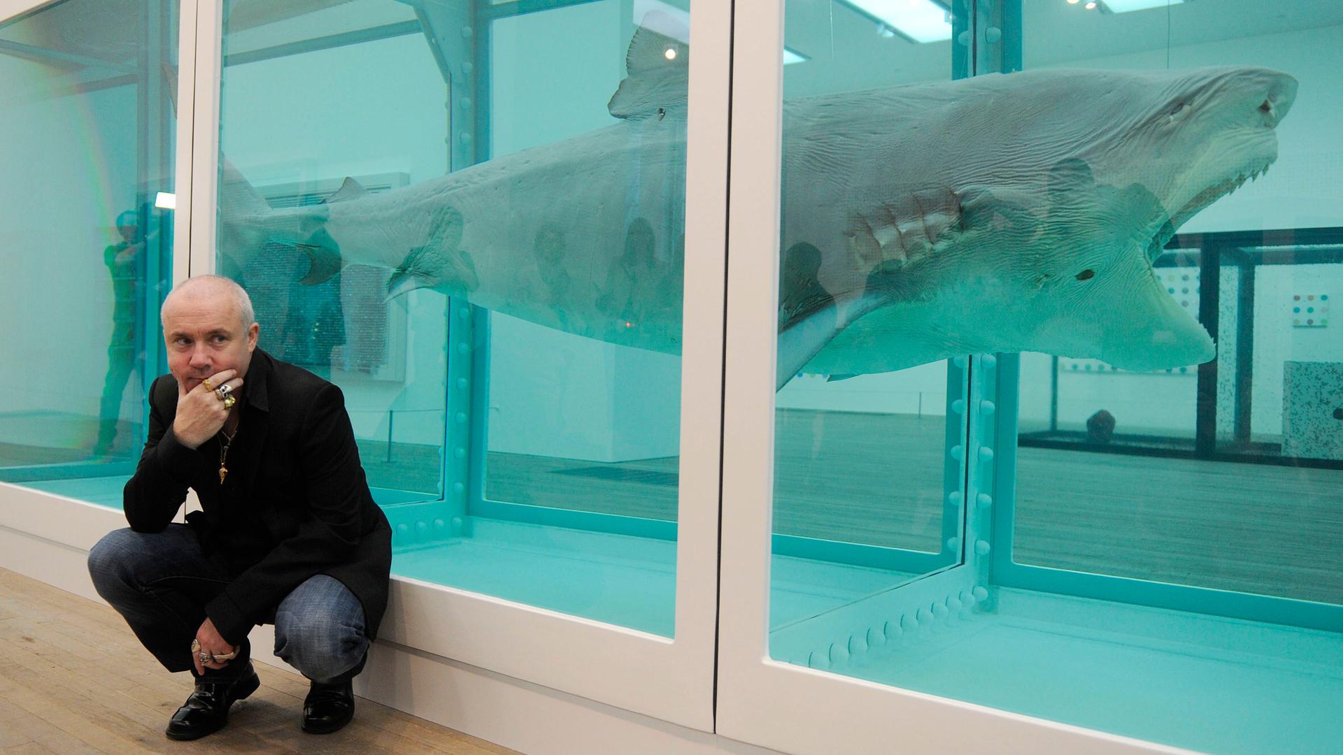 Der britische Künstler Damien Hirst vor einem seiner Kunstwerke, bei dem ein Haifisch in einer Vitrine zu sehen ist.