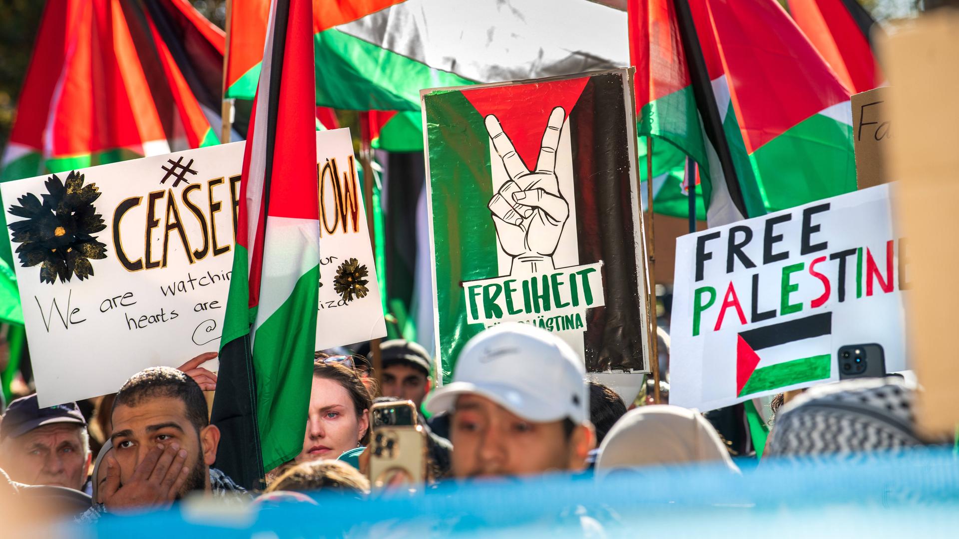 Teilnehmende halten Palästina-Flaggen und Schilder. Auf einem steht "Free Palestine".