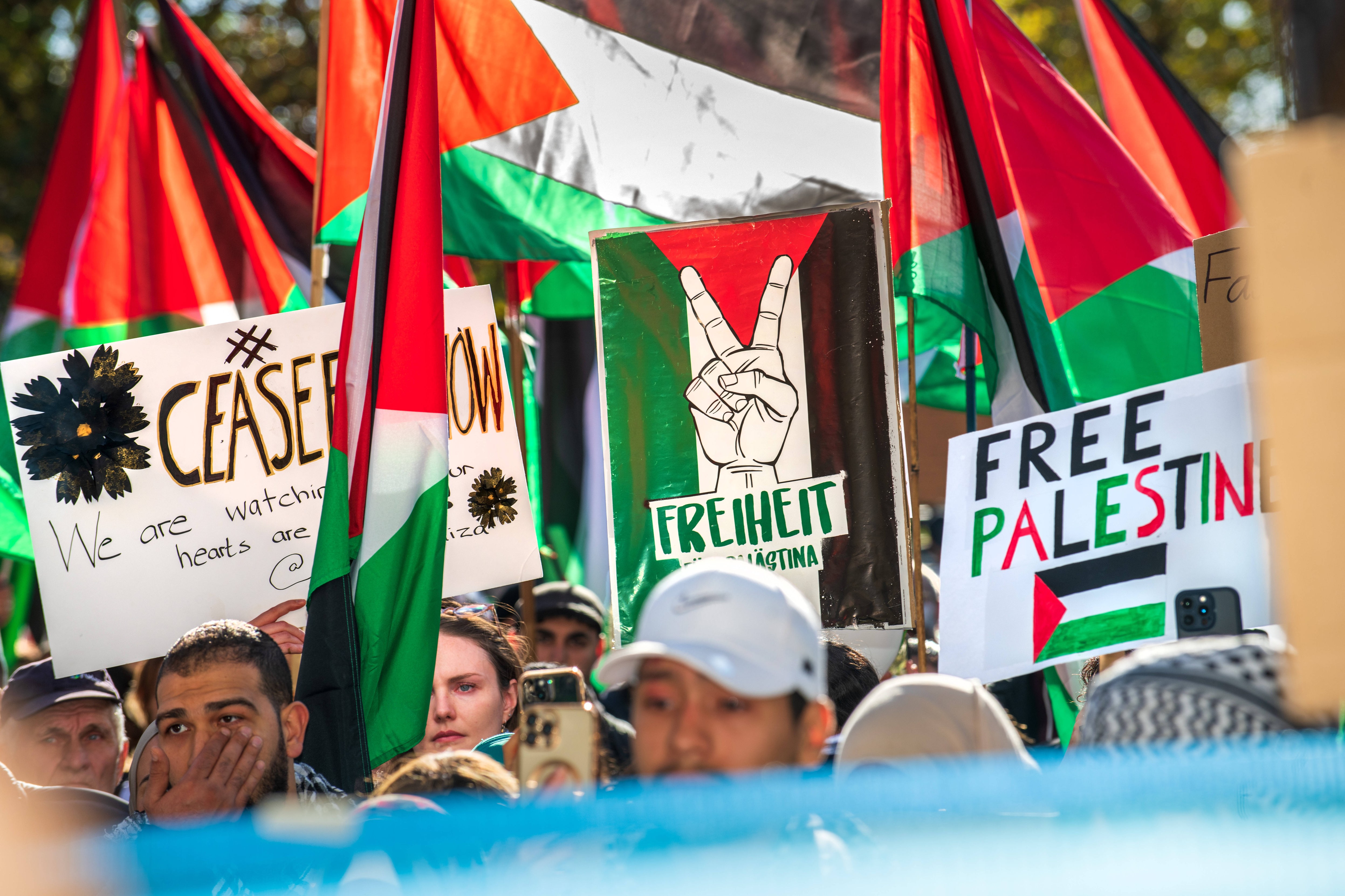 Gaza-Krieg - Pro-palästinensischer Kundgebung in Deutschland und anderen Städten weltweit - Ausschreitungen in Hamburg