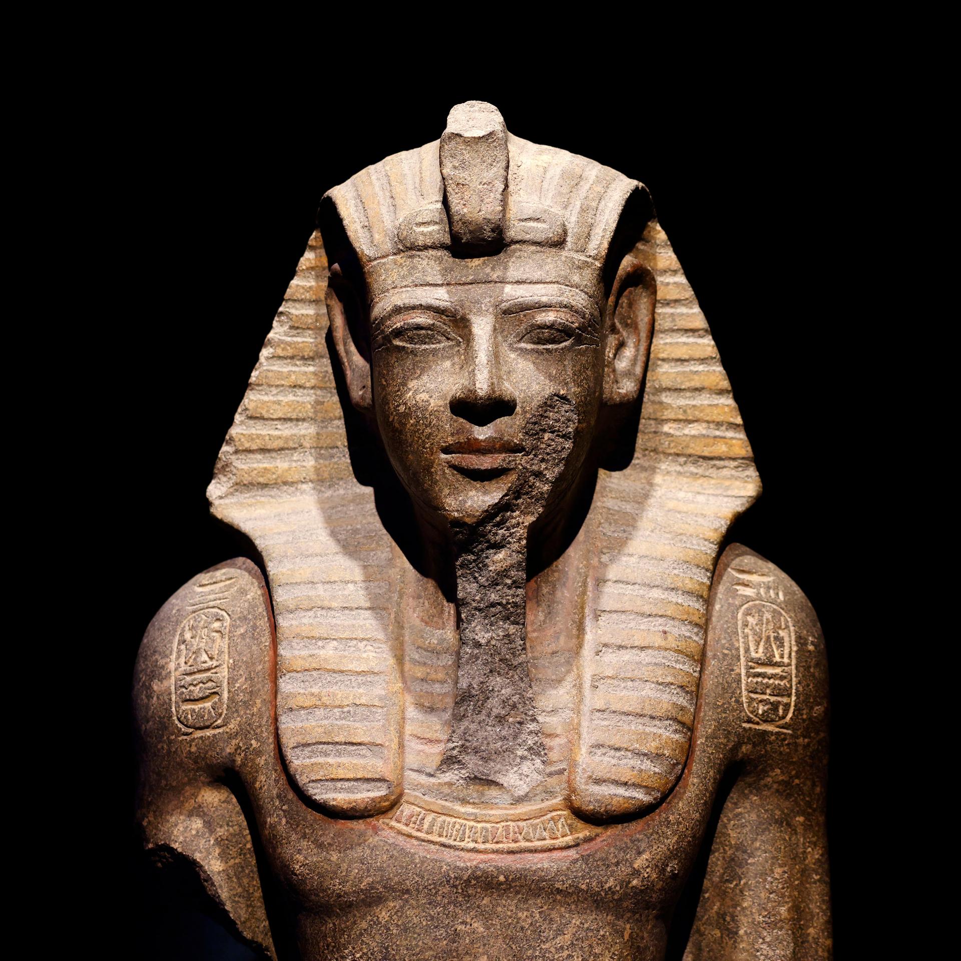 Frieden Versöhnung: Warum Kriege nicht in unserer DNA stecken