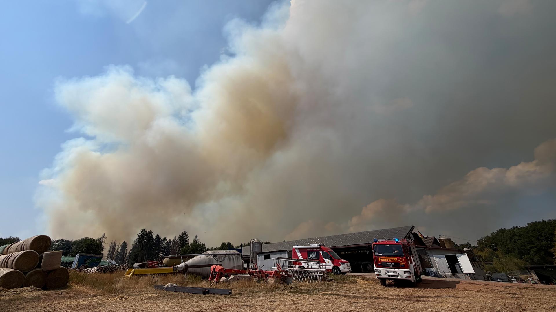 Dichter Rauch steigt aus einem Waldstück auf. Davor stehen Einsatzwagen der Feuerwehr.
