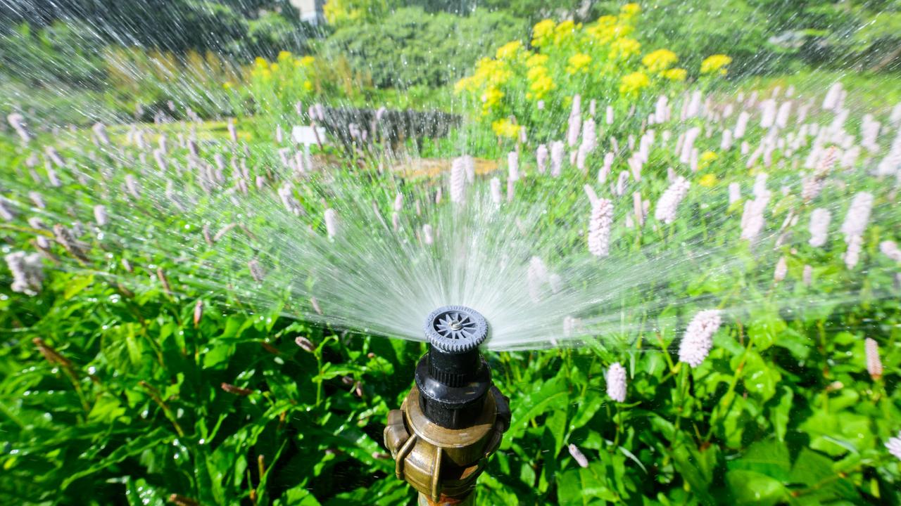 Die Düse eines Bewässerungssystems sprüht Wasser auf ein blühendes Beet.